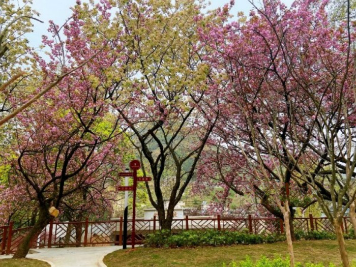 阿默記憶關(guān)愛(ài)之家療養(yǎng)院機(jī)構(gòu)簡(jiǎn)介圖2.jpg